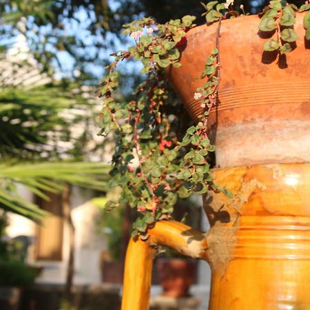 Pietra D'Angolo Locorotondo Εξωτερικό φωτογραφία